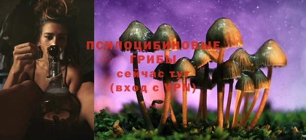 прущий лед Алексин