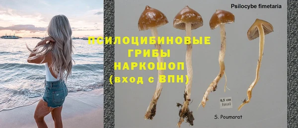 кокс Алзамай