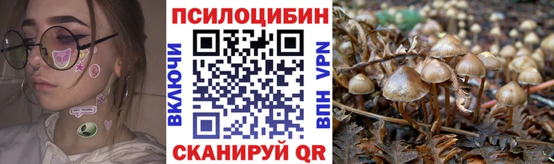 Псилоцибиновые грибы MAGIC MUSHROOMS  Боготол 